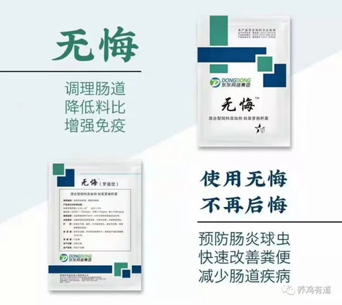 告别抗生素依赖，这些无抗制剂用对了，肠道保护更高效