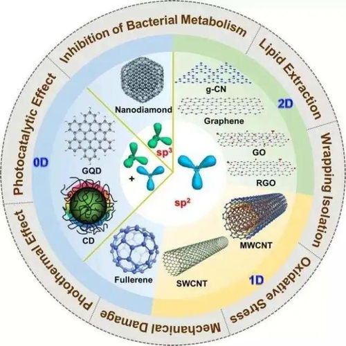抗生素后效应与合理高效的临床给药方案